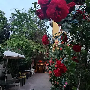  Guest house Casa Michelangelo